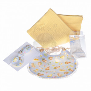 set cadou bebe
