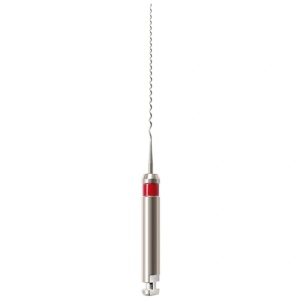 Ace Root Fillers Lentulo 4 buc