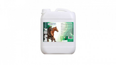 Sampon pentru cai Promedivet - Herba Vital