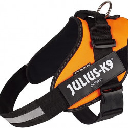 Ham IDC Power pentru caini Julius K9, Portocaliu UV Neon