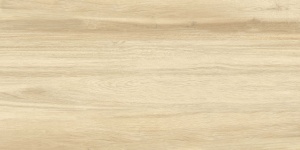 BUTTERNUT IVORY MAT 60X120 - Img 3