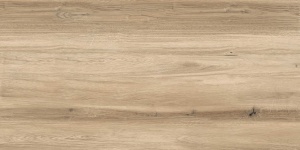 BUTTERNUT BEIGE MAT 60X120