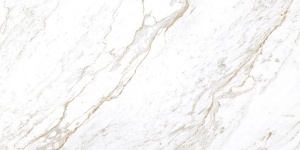 CHICAGO WHITE LUCIOS 60X120