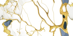 CURIOS ENDLESS GLOSSY 60X120
