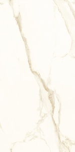 GRESIE LUCIOASA120331 60X120