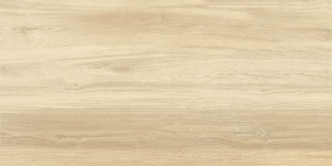BUTTERNUT IVORY MAT 60X120 - Img 2