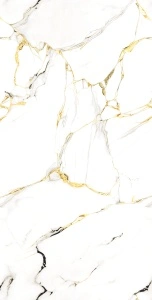 ORADEA GOLD LUCIOS ENDLESS 60X120