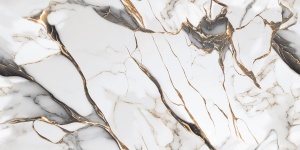 SUPRIME BLACK GOLD ENDLESS 60X120