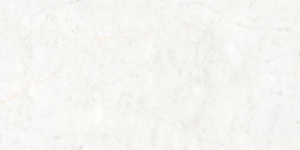 CARRARA CLASICO GLOSSY 60X120