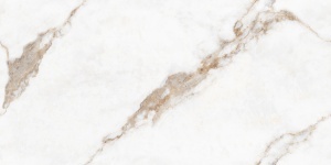 JETT SATUARIO GOLDEN CARVING 60X120 - Img 2