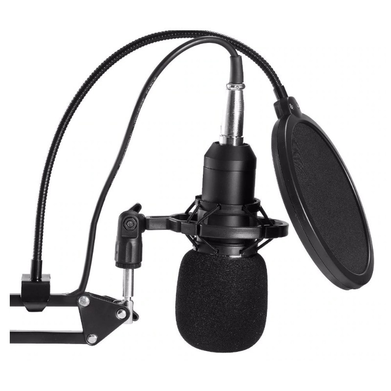 Microfon Profesional de Studio Condenser BM800 cu stand inclus pentru Inregistrare Vocala, Streaming, Gaming, Black Gold - 1 | YEO