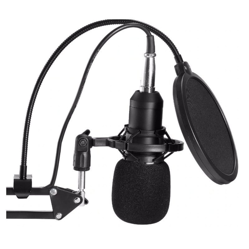 Resigilat Microfon Profesional de Studio Condenser BM800 cu stand inclus pentru Inregistrare Vocala, Streaming, Gaming, Black Gold - 1 | YEO