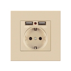 Vedere frontala priza auriu cu 2 porturi USB