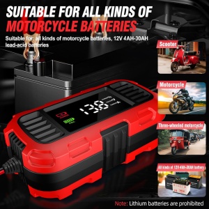 Afisaj LED si buton mod incarcator inteligent Techstar 2A