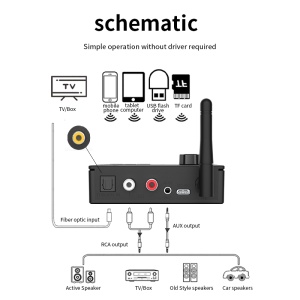 Schema conexiuni convertor Techstar DAC cu intrari optice si iesiri RCA