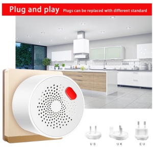 prezentare functii detector gaz techstar smart