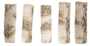 Busteni mari de ceramica