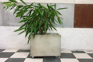 Ghiveci Modern 2068W cu Roți - Img 5