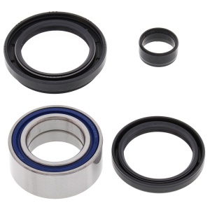 Kit rulmenti si garnituri roata All Balls Racing WB25-1003