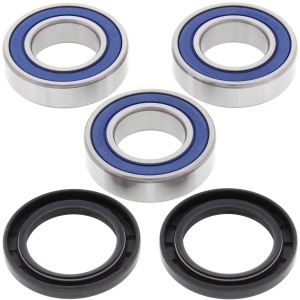 Kit rulmenti si garnituri roata All Balls Racing WB25-1101