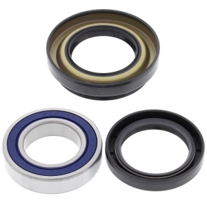 Kit rulmenti si garnituri roata All Balls Racing WB25-1123