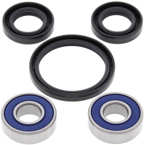 Kit rulmenti si garnituri roata All Balls Racing WB25-1187
