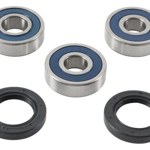 Kit rulmenti si garnituri roata All Balls Racing WB25-1755