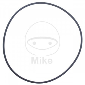 Garnitura pompa de apa ATHENA M752510100004 O-Ring