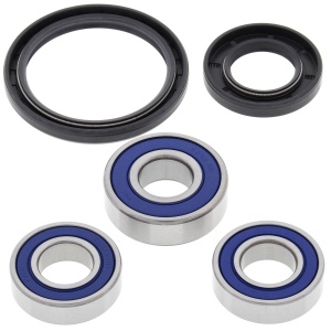 Kit rulmenti si garnituri roata All Balls Racing WB25-1098