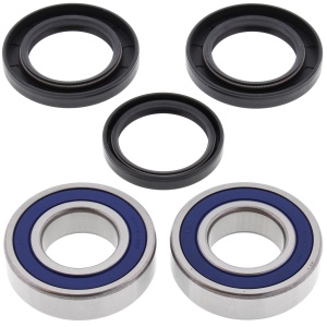 Kit rulmenti si garnituri roata All Balls Racing WB25-1158