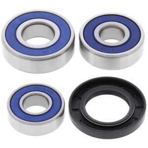 Kit rulmenti si garnituri roata All Balls Racing WB25-1607