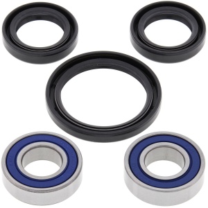 Kit rulmenti si garnituri roata All Balls Racing WB25-1052