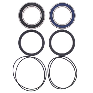 Kit rulmenti si garnituri roata All Balls Racing WB25-1616 upgrade