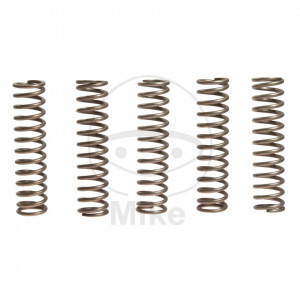 Kit arcuri ambreiaj EBC CSK110 5