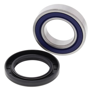 Kit rulmenti si garnituri roata All Balls Racing WB25-1118