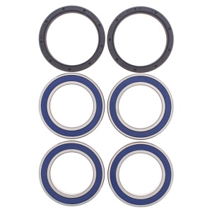 Kit rulmenti si garnituri roata All Balls Racing WB25-1565