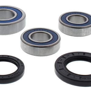 Kit rulmenti si garnituri roata All Balls Racing WB25-1749