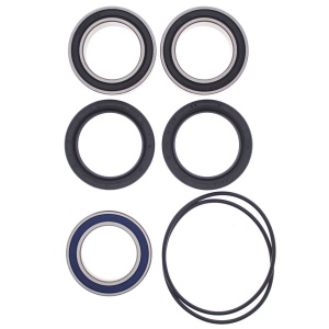 Kit rulmenti si garnituri roata All Balls Racing WB25-1620 upgrade