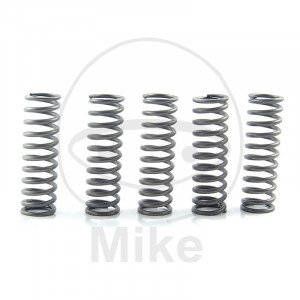 Kit arcuri ambreiaj EBC CSK169 5
