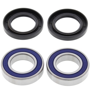Kit rulmenti si garnituri roata All Balls Racing WB25-1435