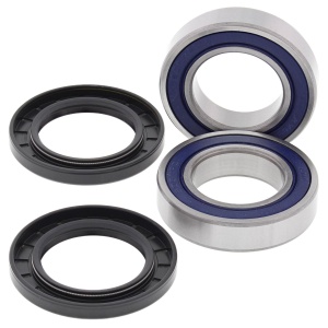 Kit rulmenti si garnituri roata All Balls Racing WB25-1116