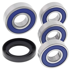 Kit rulmenti si garnituri roata All Balls Racing WB25-1598