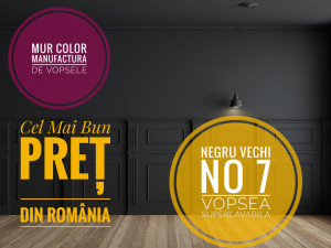 Vopsea Superlavabila Aspect Mat/ MUR Arhitect Negru VECHI Nr. 17 - Img 2