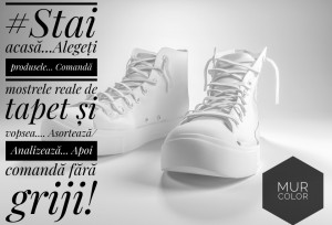Vopsea Superlavabila Aspect Mat/ MUR Arhitect Negru VECHI Nr. 17 - Img 3