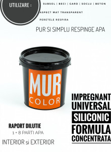 Amorsa Concentrata Impregnant Siliconic MUR Fix 1 Litru - Img 1