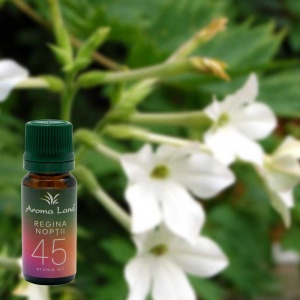 Ulei parfumat Aroma Oil Regina noptii 10 ml - Img 2