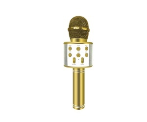 Microfon karaoke copii cu bluetooth, boxa integrata, wireless, USB auriu, SmartK - Img 2
