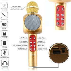 Microfon karaoke Disco LED, fara fir Wster, cu Radio si Recorder, wireless sistem, profesional cu boxe si Bluetooth 4.1 M1, Cappuccino - Img 2