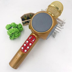 Microfon karaoke Disco LED, fara fir Wster, cu Radio si Recorder, wireless sistem, profesional cu boxe si Bluetooth 4.1 M1, Cappuccino - Img 3