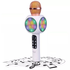 Microfon pentru karaoke, bluetooth, boxa 3W, radio FM, slotcard TF, USB, Android iOS - Img 4